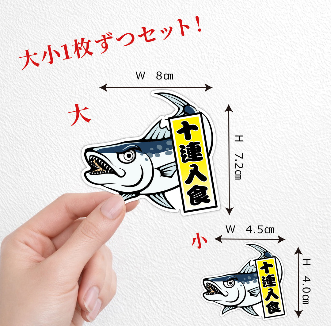 カマス 十連入食 　(campprint0037)