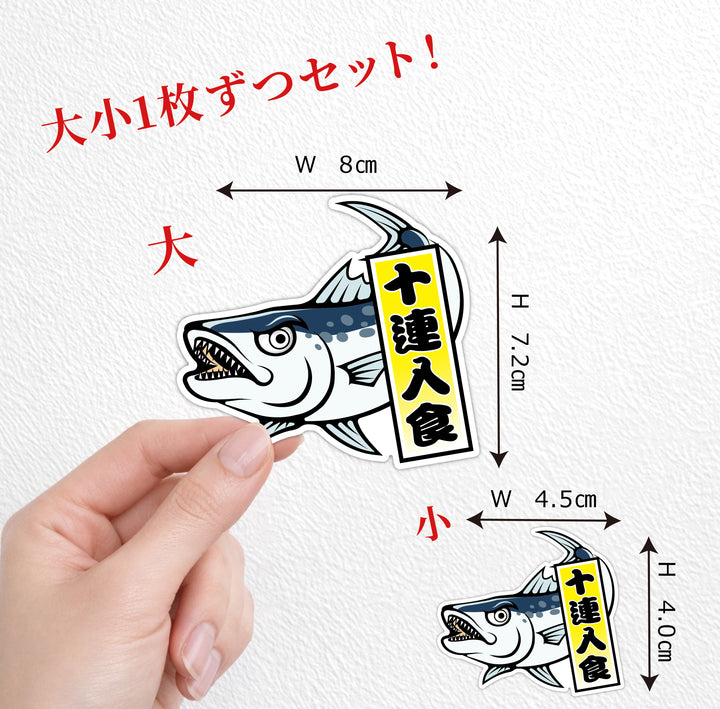 カマス 十連入食 　(campprint0037)
